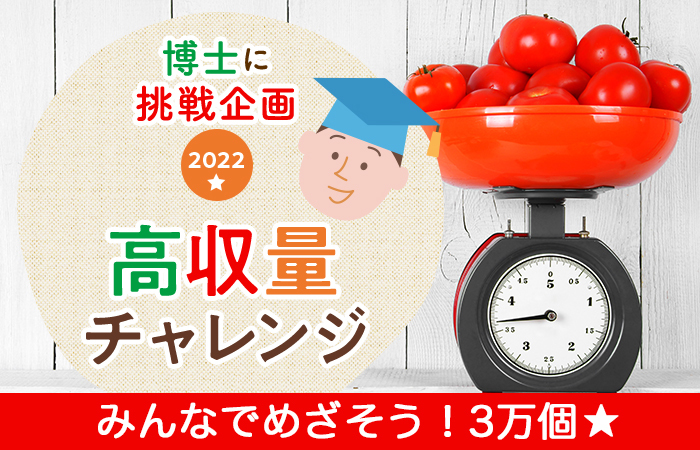 収穫目標を発表☆博士に挑戦2022 高収量トマトチャレンジ