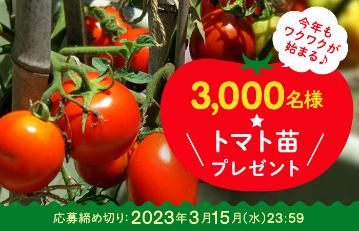3,000名様／選べるトマト苗プレゼント企画☆今年はどれを選ぶ？