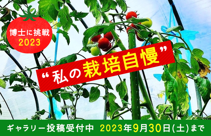 終了しました＞博士に挑戦2023☆“私の栽培自慢”ギャラリー...